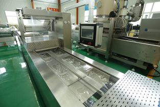 打造高效生產(chǎn)線 食品包裝機(jī)械設(shè)備與輔助設(shè)備配套的基本要求